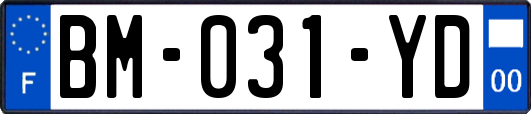 BM-031-YD