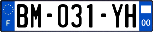BM-031-YH