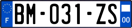 BM-031-ZS