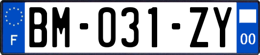 BM-031-ZY