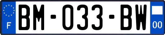 BM-033-BW