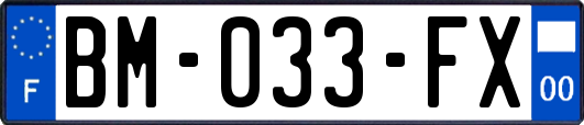 BM-033-FX