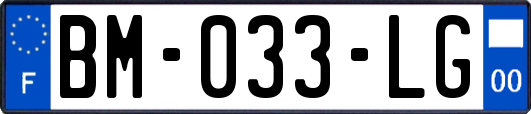 BM-033-LG