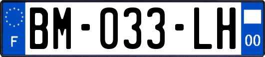 BM-033-LH