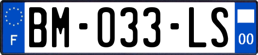 BM-033-LS