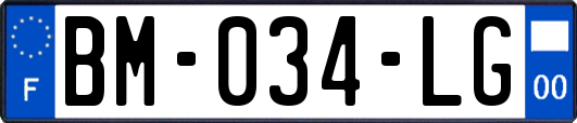 BM-034-LG