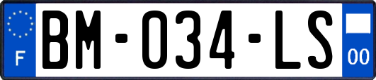 BM-034-LS