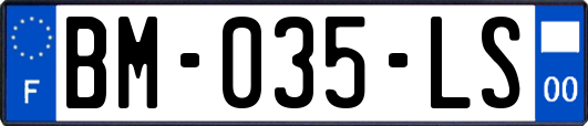 BM-035-LS