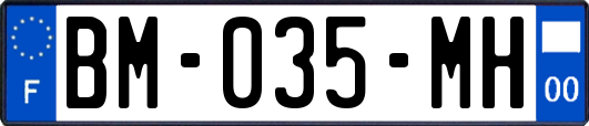 BM-035-MH