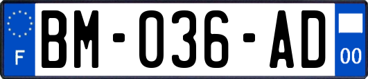 BM-036-AD