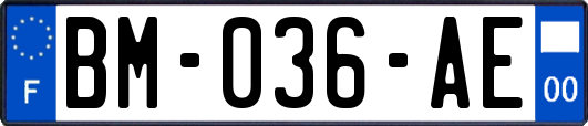 BM-036-AE