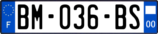 BM-036-BS