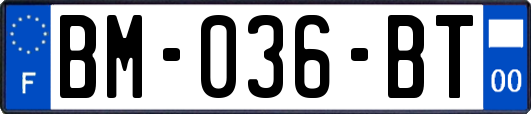 BM-036-BT