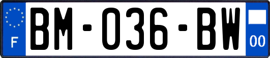 BM-036-BW