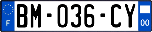 BM-036-CY