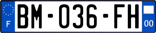 BM-036-FH