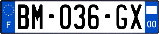 BM-036-GX