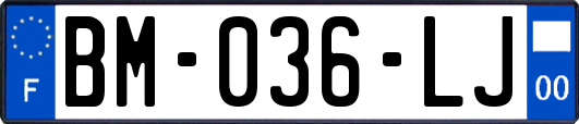 BM-036-LJ