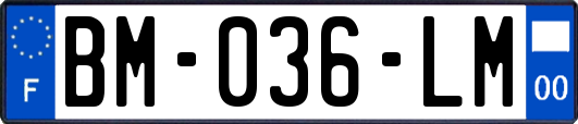 BM-036-LM