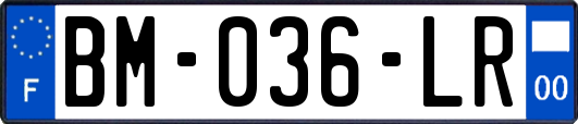 BM-036-LR