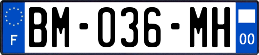 BM-036-MH