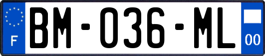 BM-036-ML