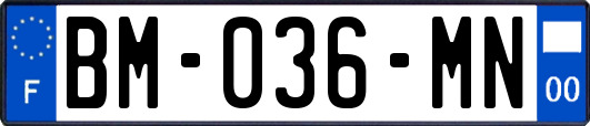 BM-036-MN