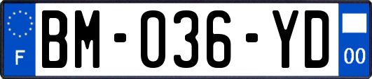 BM-036-YD