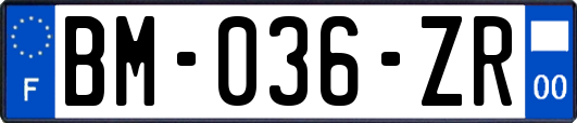 BM-036-ZR