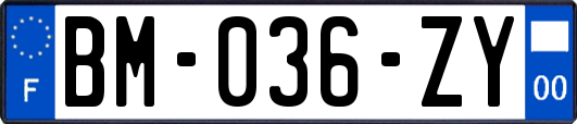 BM-036-ZY