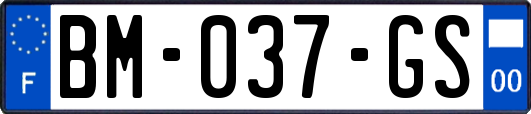 BM-037-GS