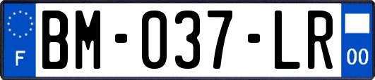 BM-037-LR