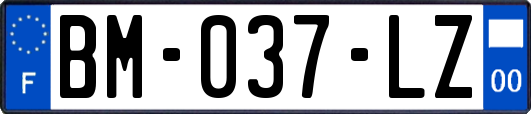 BM-037-LZ