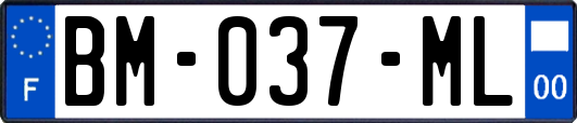 BM-037-ML