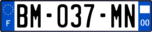 BM-037-MN