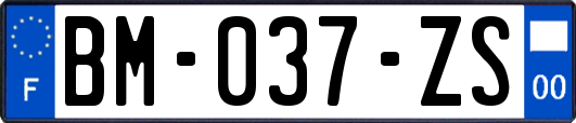 BM-037-ZS