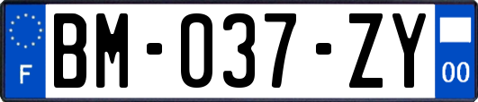 BM-037-ZY