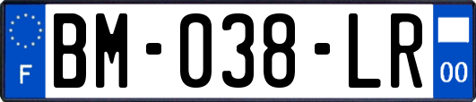 BM-038-LR