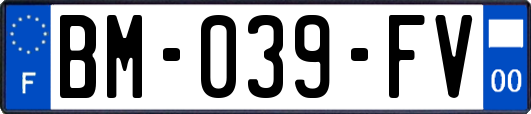 BM-039-FV