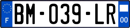 BM-039-LR