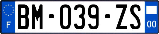 BM-039-ZS