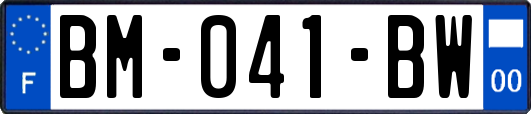 BM-041-BW