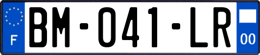 BM-041-LR