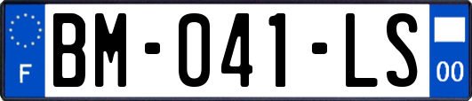 BM-041-LS