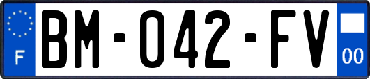 BM-042-FV