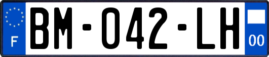 BM-042-LH