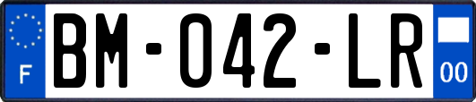 BM-042-LR