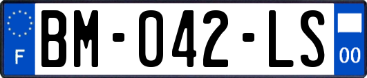 BM-042-LS