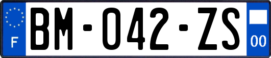 BM-042-ZS