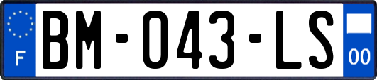 BM-043-LS